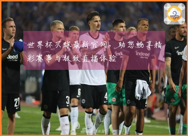世界杯买球最新官网,助您畅享精彩赛事与极致直播体验