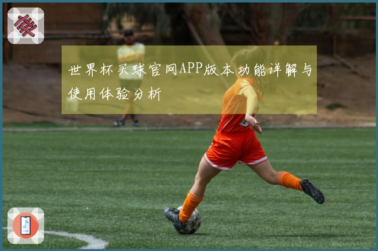世界杯买球官网APP版本功能详解与使用体验分析
