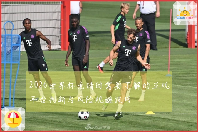 2026世界杯竞猜时需要了解的正规平台判断与风险规避技巧